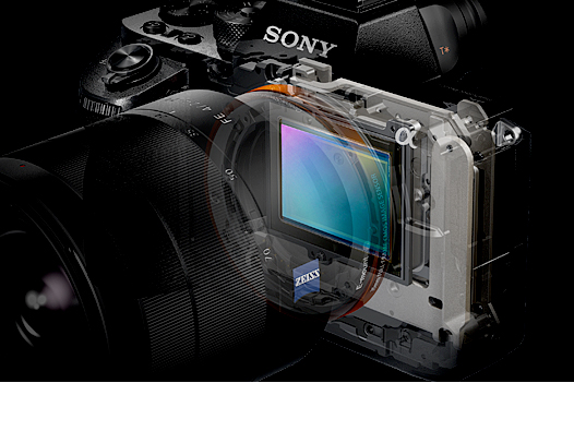 SONYデジタル一眼カメラα7S II（ILCE-7SM2） - ストロベリーメディアアーツ